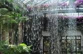 O belo interior da estufa de Longwood Gardens, na Pennsylvania - Estados Unidos